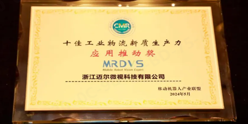 盘点2024：只为“看懂”世界，“看见”更智能的时代-浙江迈尔微视Mrdvs移动机器人-3D视觉专家